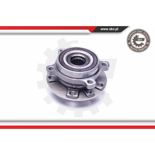 29SKV309 - Wheel Bearing Kit 