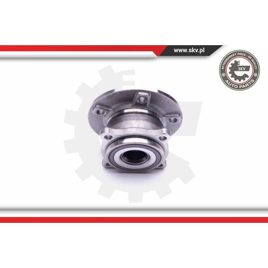 29SKV315 - Wheel Bearing Kit 