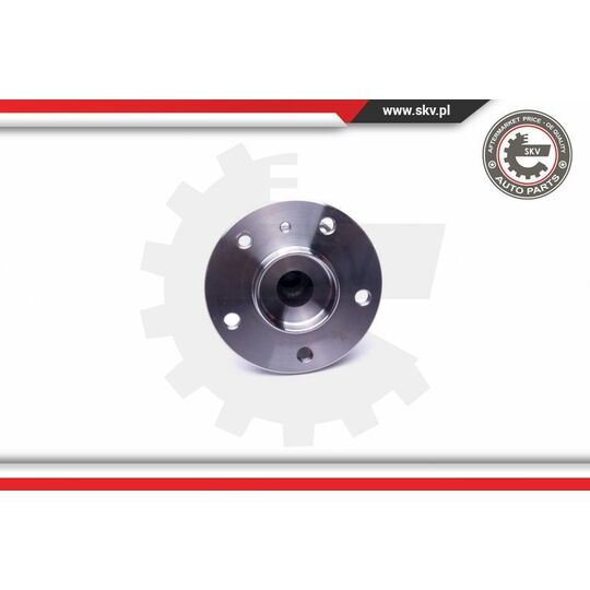 29SKV295 - Wheel Bearing Kit 