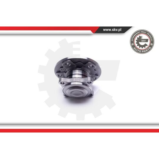 29SKV317 - Wheel Bearing Kit 