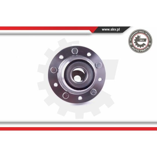 29SKV304 - Wheel Bearing Kit 