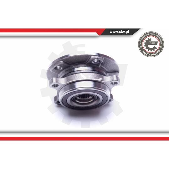 29SKV309 - Wheel Bearing Kit 