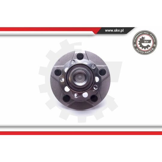 29SKV313 - Wheel Bearing Kit 