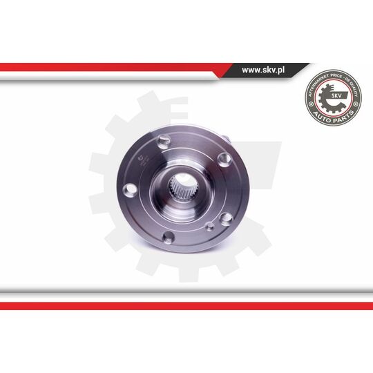 29SKV315 - Wheel Bearing Kit 