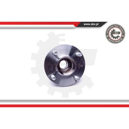 29SKV296 - Wheel Bearing Kit 