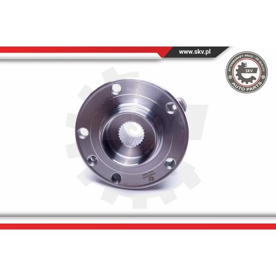 29SKV309 - Wheel Bearing Kit 