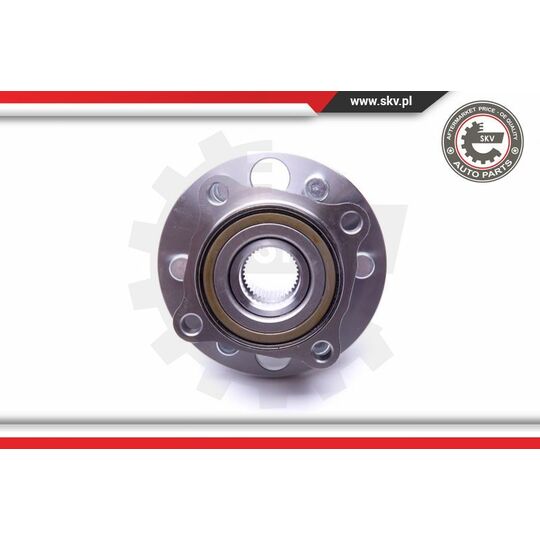 29SKV319 - Wheel Bearing Kit 