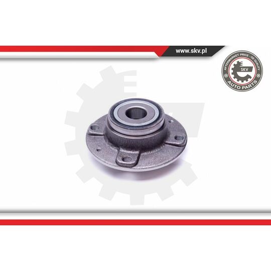 29SKV348 - Wheel Bearing Kit 