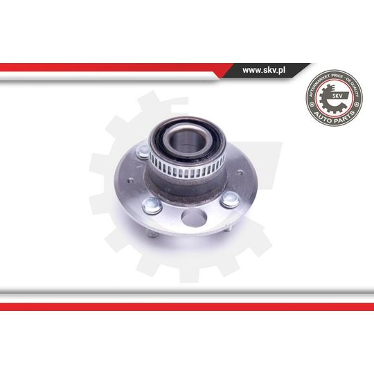 29SKV351 - Wheel Bearing Kit 