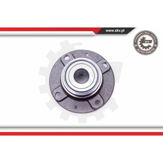 29SKV348 - Wheel Bearing Kit 