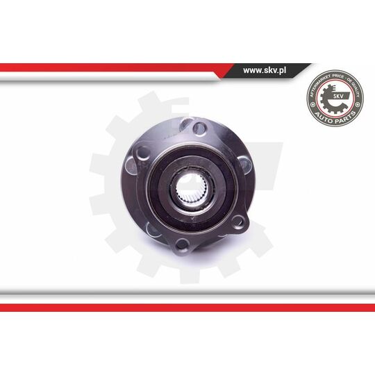 29SKV346 - Wheel Bearing Kit 