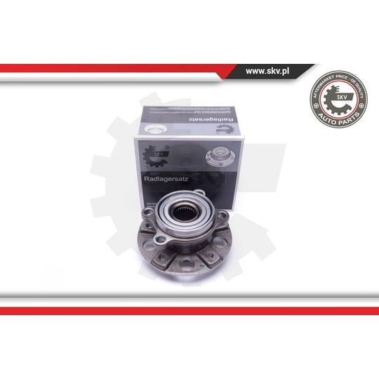 29SKV387 - Wheel Bearing Kit 