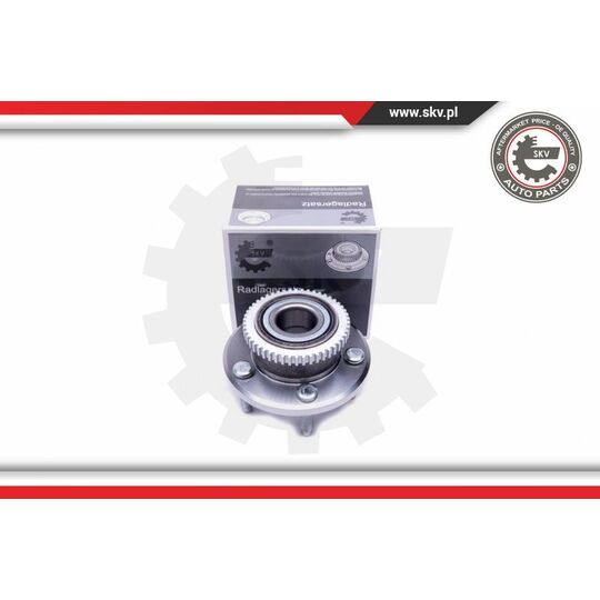 29SKV383 - Wheel Bearing Kit 