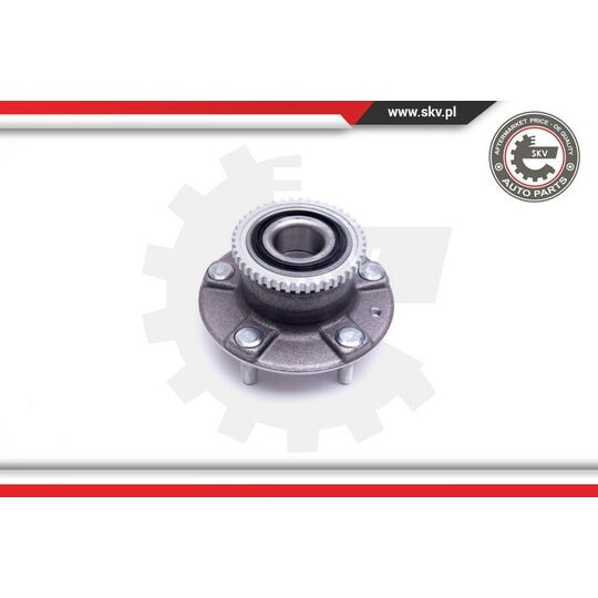 29SKV399 - Wheel Bearing Kit 