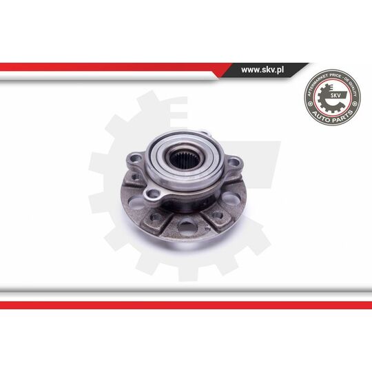 29SKV387 - Wheel Bearing Kit 