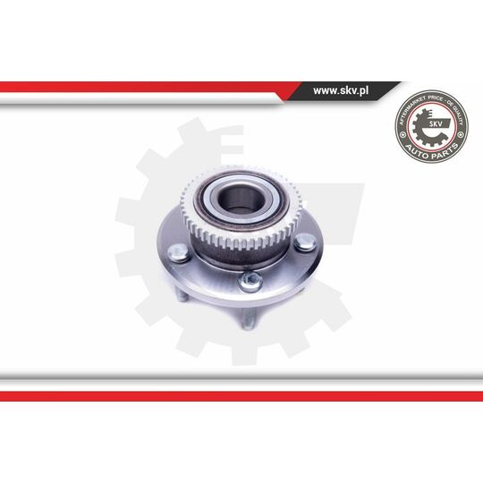 29SKV383 - Wheel Bearing Kit 