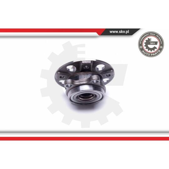 29SKV387 - Wheel Bearing Kit 