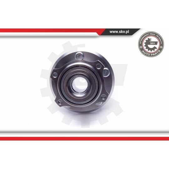 29SKV385 - Wheel Bearing Kit 