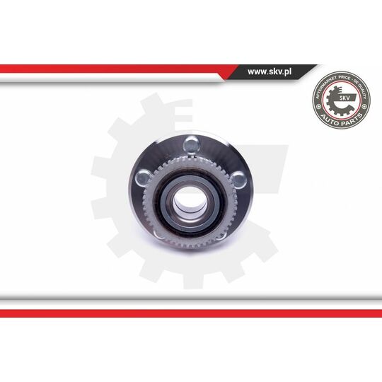 29SKV383 - Wheel Bearing Kit 