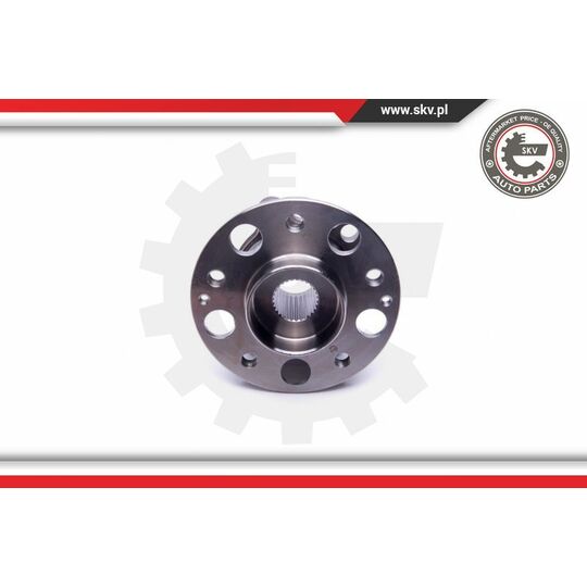 29SKV387 - Wheel Bearing Kit 