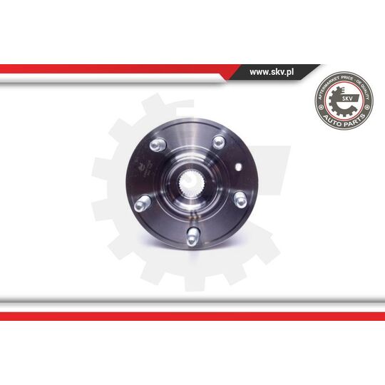 29SKV405 - Wheel Bearing Kit 