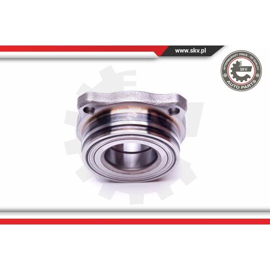 29SKV389 - Wheel Bearing Kit 