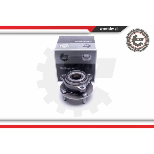 29SKV431 - Wheel Bearing Kit 