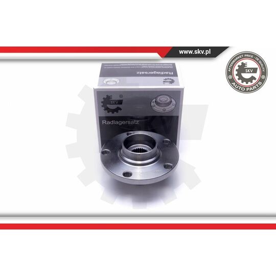 29SKV436 - Wheel Bearing Kit 