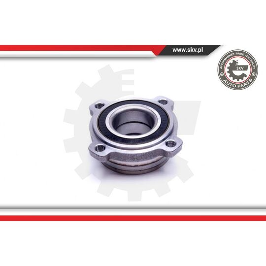 29SKV441 - Wheel Bearing Kit 