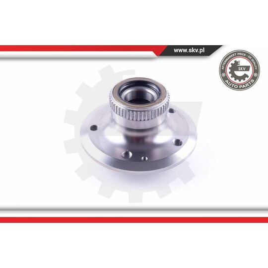 29SKV418 - Wheel Bearing Kit 