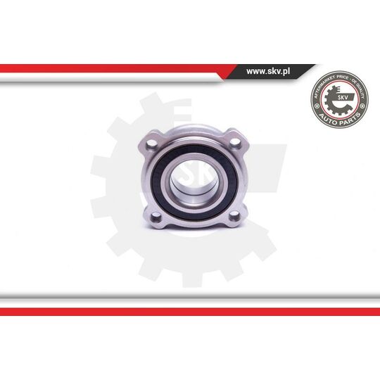 29SKV441 - Wheel Bearing Kit 