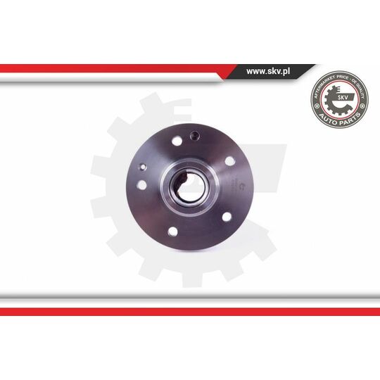 29SKV418 - Wheel Bearing Kit 