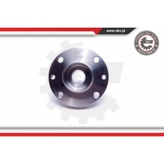 29SKV434 - Wheel Bearing Kit 