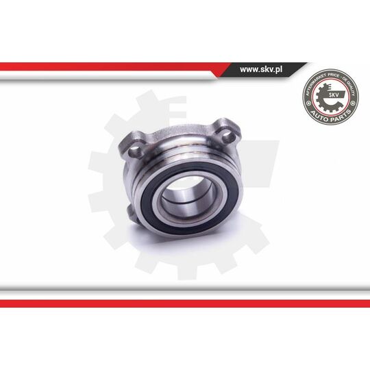 29SKV441 - Wheel Bearing Kit 