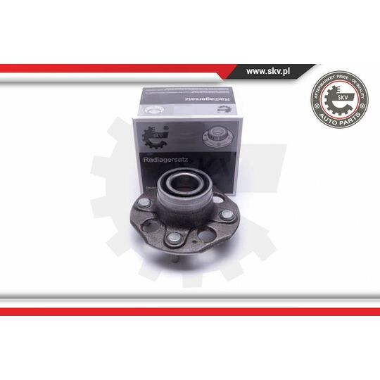 29SKV463 - Wheel Bearing Kit 