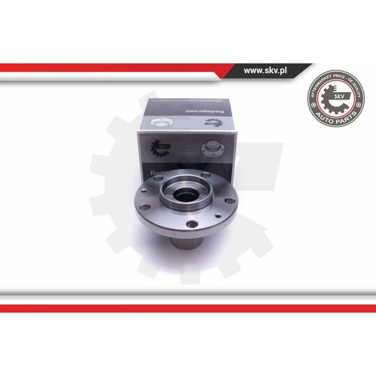 29SKV451 - Wheel Bearing Kit 