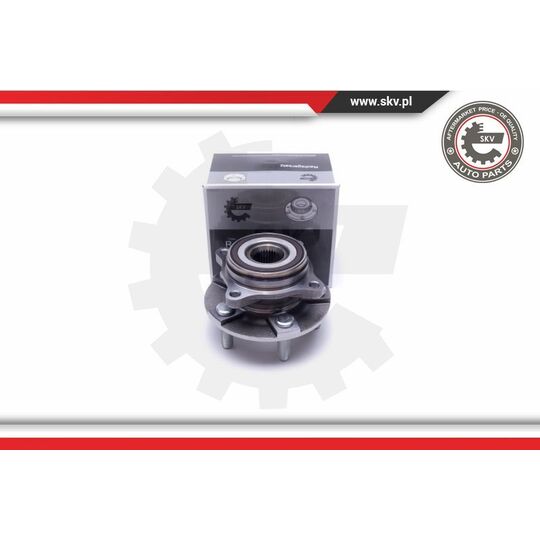 29SKV460 - Wheel Bearing Kit 