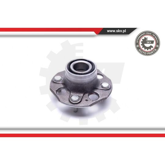 29SKV463 - Wheel Bearing Kit 