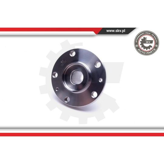 29SKV451 - Wheel Bearing Kit 