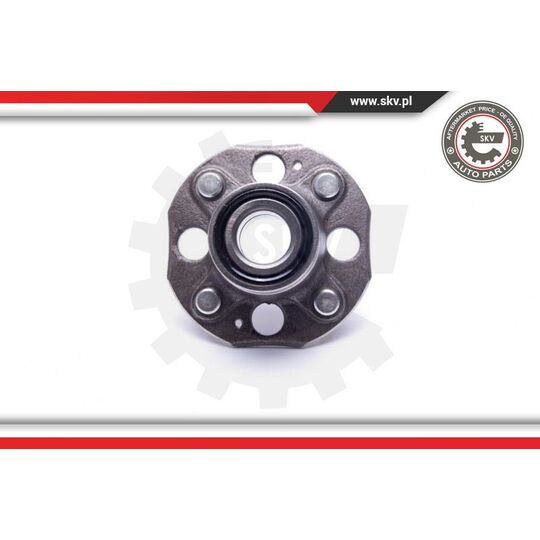 29SKV463 - Wheel Bearing Kit 