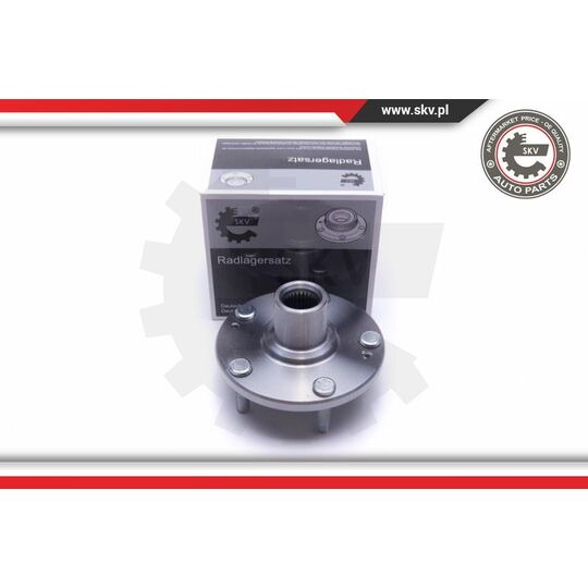 29SKV481 - Wheel Bearing Kit 