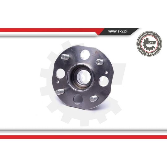 29SKV463 - Wheel Bearing Kit 