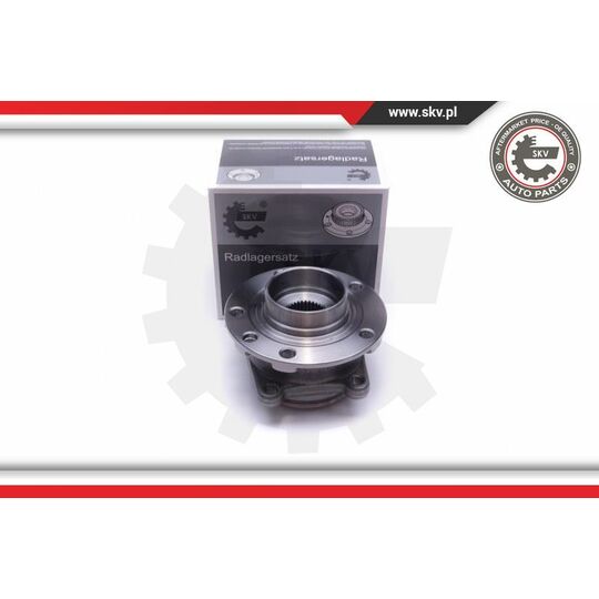 29SKV491 - Wheel Bearing Kit 