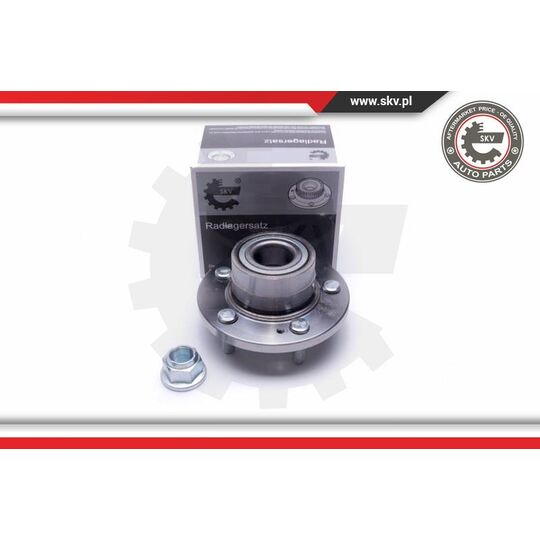 29SKV484 - Wheel Bearing Kit 