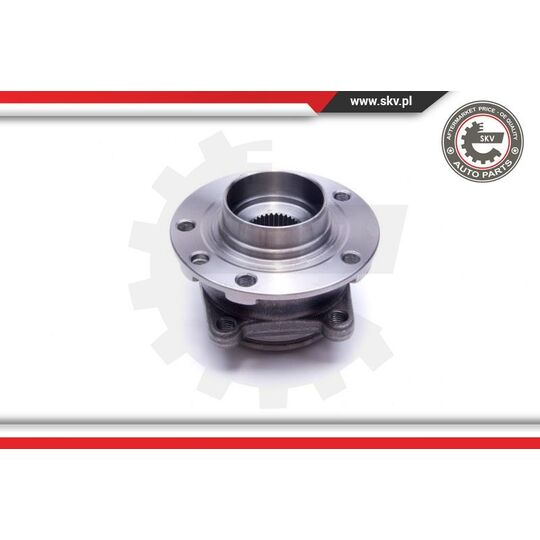 29SKV491 - Wheel Bearing Kit 