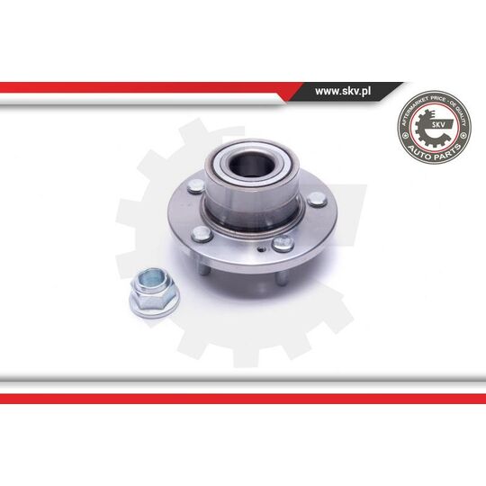 29SKV484 - Wheel Bearing Kit 