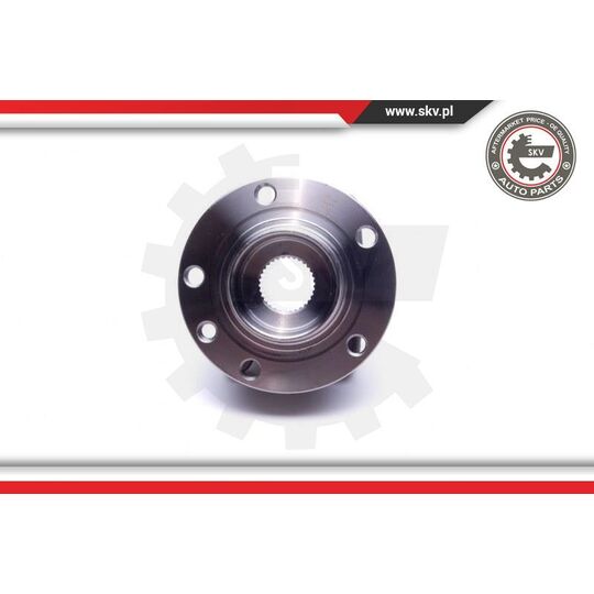 29SKV491 - Wheel Bearing Kit 