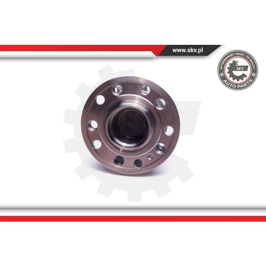 29SKV506 - Wheel Bearing Kit 