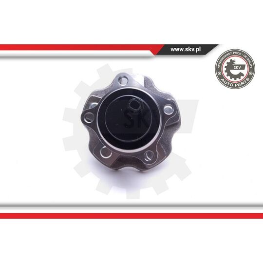 29SKV498 - Wheel Bearing Kit 