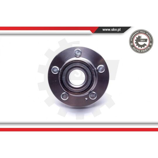 29SKV484 - Wheel Bearing Kit 